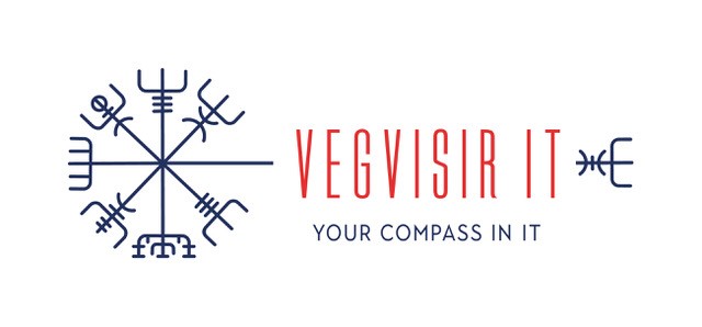 Vegvisir IT