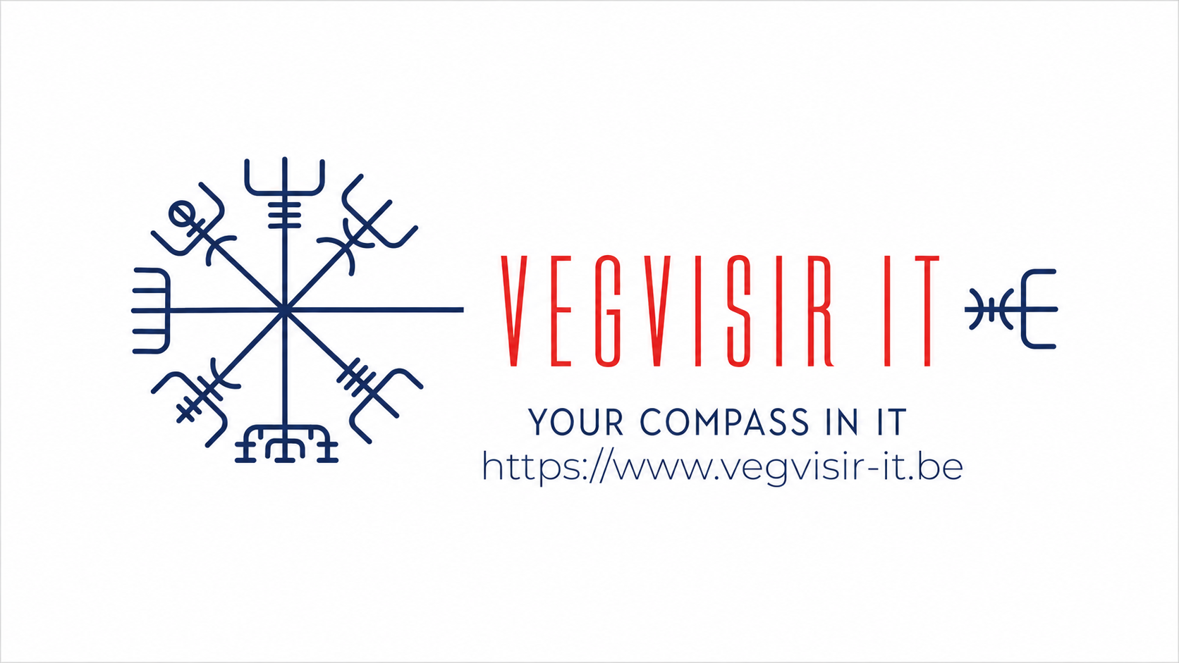 Vegvisir IT